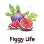 How Big Are Fig Leaves? - Figgy Life